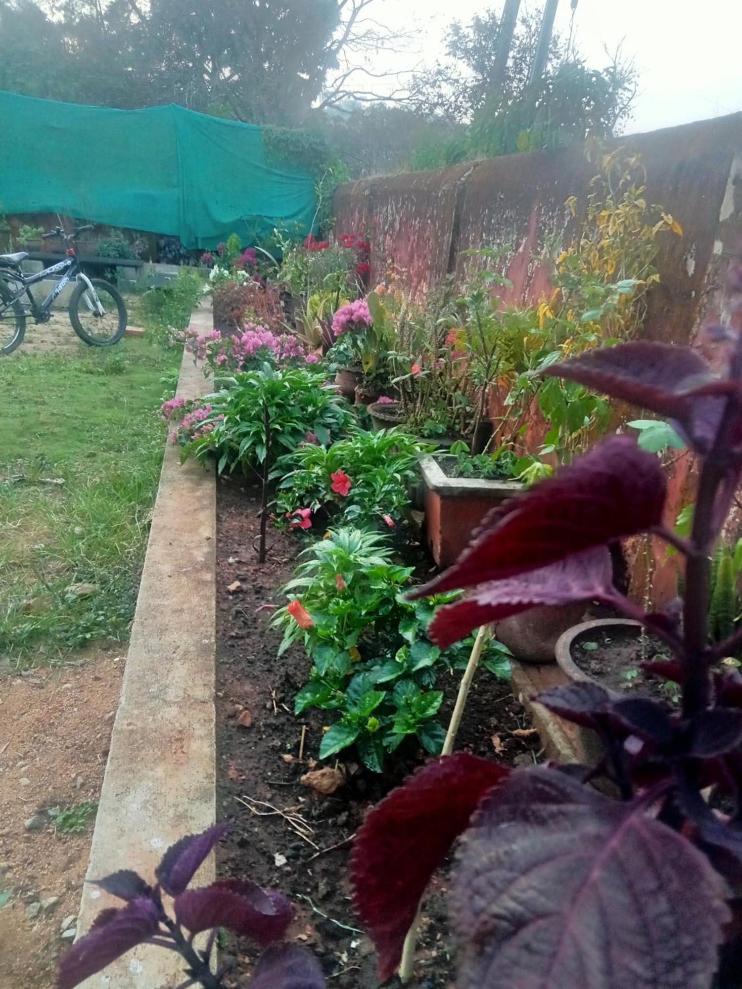 Eshwarkrupa Homestay Madikeri Exterior foto